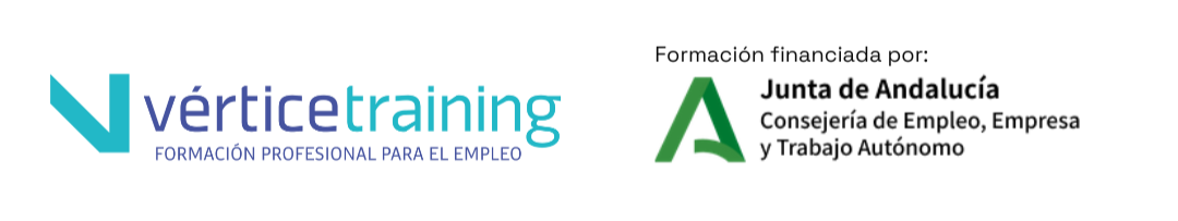 logo vertice elearning