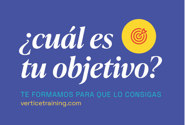 logo vertice elearning